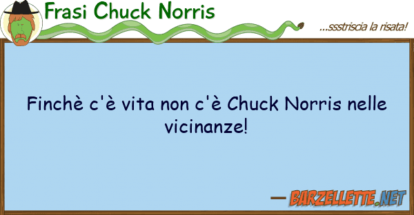 Frasi Chuck Norris finchè c'è vita c'è chuck norris
