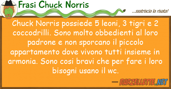 Frasi Chuck Norris chuck norris possiede 5 leoni, 3 tigri