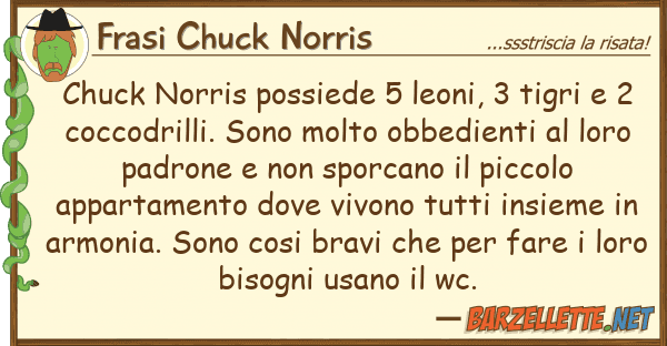 Frasi Chuck Norris chuck norris possiede 5 leoni, 3 tigri