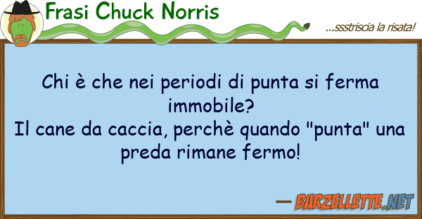 Frasi Chuck Norris è periodi punta ferma
