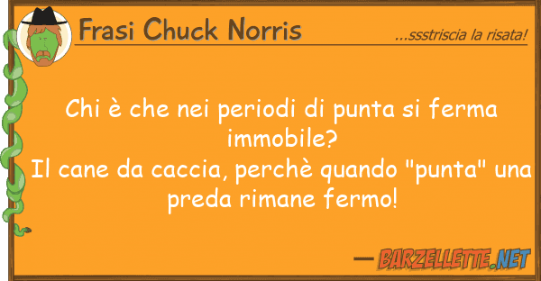 Frasi Chuck Norris è periodi punta ferma