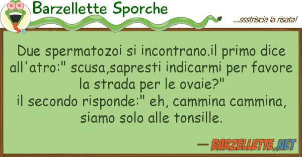 Barzellette Sporche due spermatozoi incontrano.il primo d