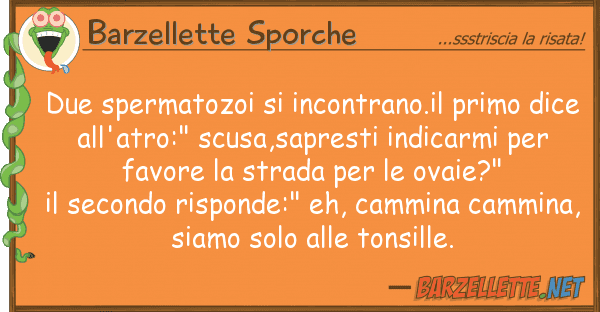 Barzellette Sporche due spermatozoi incontrano.il primo d