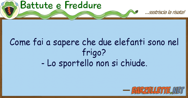 Battute e Freddure fai sapere due elefanti sono
