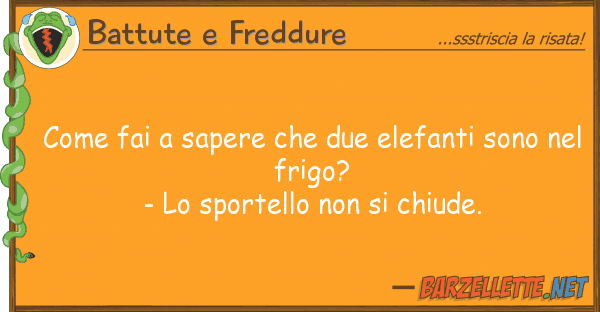 Battute e Freddure fai sapere due elefanti sono