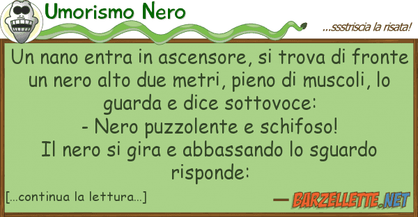 Umorismo Nero nano entra ascensore, trova