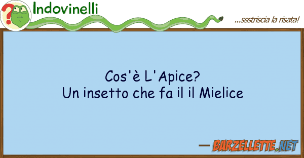 Indovinelli cos'è l'apice? insetto fa