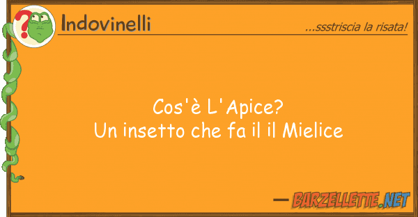 Indovinelli cos'è l'apice? insetto fa