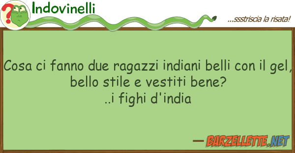 Indovinelli cosa fanno due ragazzi indiani belli