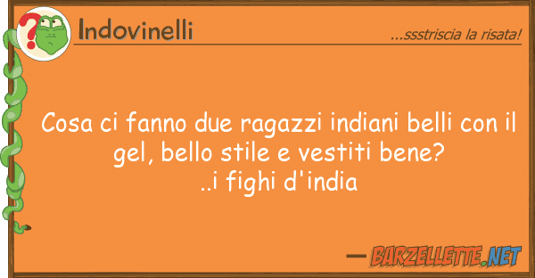 Indovinelli cosa fanno due ragazzi indiani belli