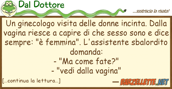 Dal Dottore ginecologo visita donne incinta