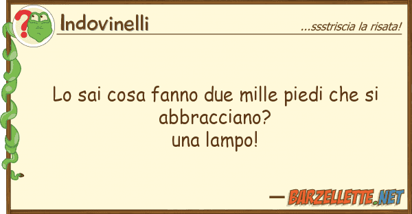 Indovinelli sai cosa fanno due mille piedi