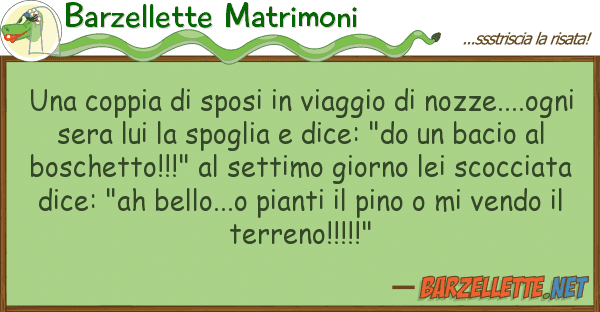 Barzellette Matrimoni coppia sposi viaggio nozze.