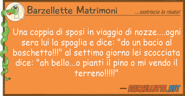 Barzellette Matrimoni coppia sposi viaggio nozze.