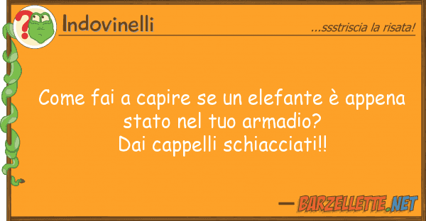 Indovinelli fai capire elefante è appe