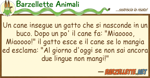Barzellette Animali cane insegue gatto nasconde