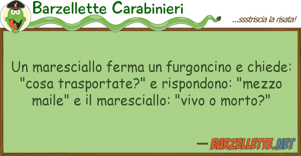 Barzellette Carabinieri maresciallo ferma furgoncino