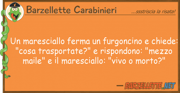 Barzellette Carabinieri maresciallo ferma furgoncino