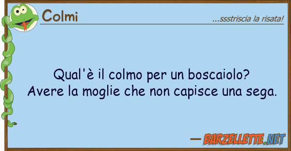Colmi qual'è colmo boscaiolo? aver