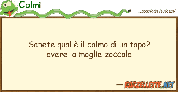Colmi sapete qual è colmo topo? aver