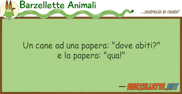 Barzellette Animali cane papera: "dove abiti?"