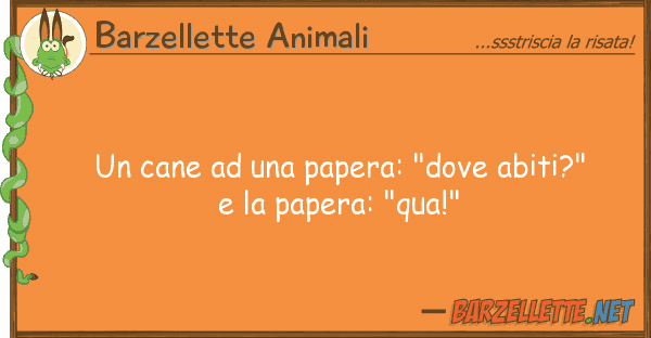 Barzellette Animali cane papera: "dove abiti?"