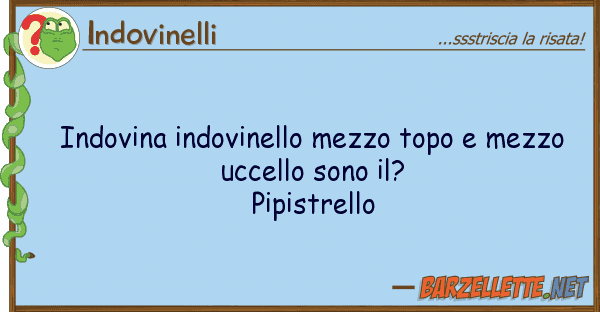 Indovinelli indovina indovinello mezzo topo mezzo