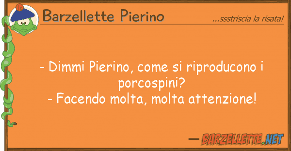 Barzellette Pierino - dimmi pierino, riproducono p