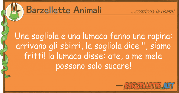Barzellette Animali sogliola lumaca fanno rapi