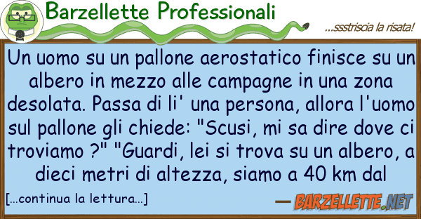 Barzellette Professionali uomo pallone aerostatico finisc