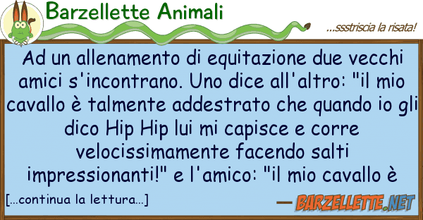 Barzellette Animali allenamento equitazione due vec