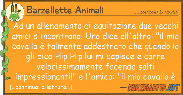 Barzellette Animali allenamento equitazione due vec