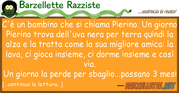 Barzellette Razziste c'è bambino chiama pierino. u
