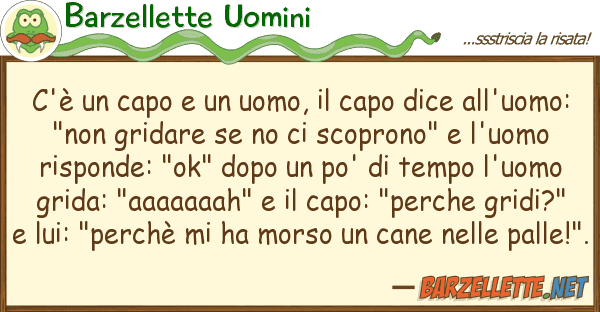 Barzellette Uomini c'è capo uomo, capo dice