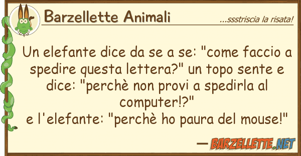 Barzellette Animali elefante dice se: "come facci