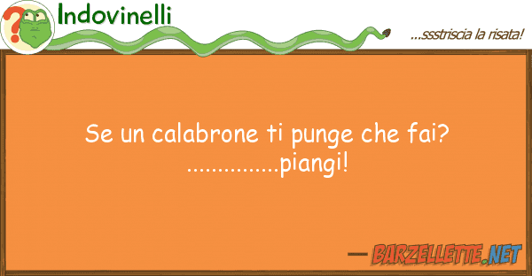 Indovinelli calabrone punge fai?.......