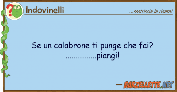Indovinelli calabrone punge fai?.......