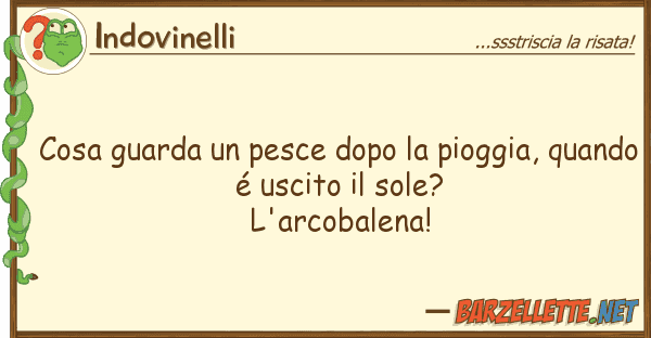Indovinelli cosa guarda pesce dopo pioggia, qu