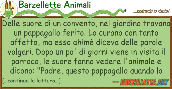 Barzellette Animali suore convento, giardino