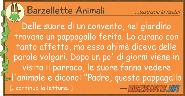 Barzellette Animali suore convento, giardino