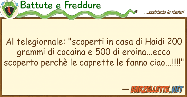 Battute e Freddure telegiornale: "scoperti casa ha