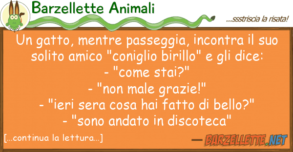 Barzellette Animali gatto, mentre passeggia, incontra