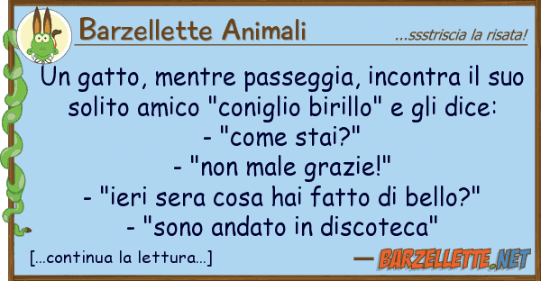 Barzellette Animali gatto, mentre passeggia, incontra