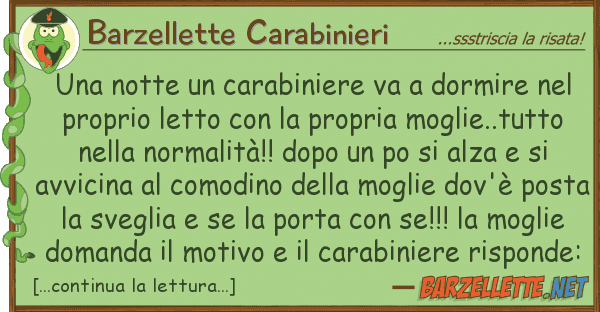 Barzellette Carabinieri notte carabiniere va dormire