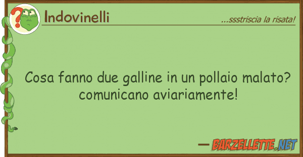 Indovinelli cosa fanno due galline pollaio mal