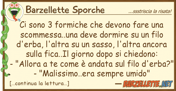 Barzellette Sporche sono 3 formiche devono fare s