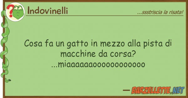 Indovinelli cosa fa gatto mezzo pista