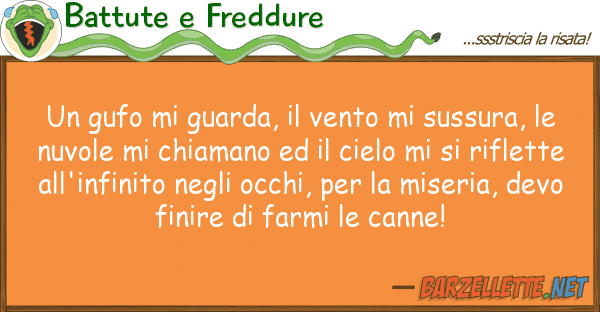 Battute e Freddure gufo guarda, vento sussura,