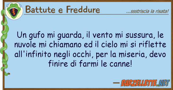 Battute e Freddure gufo guarda, vento sussura,
