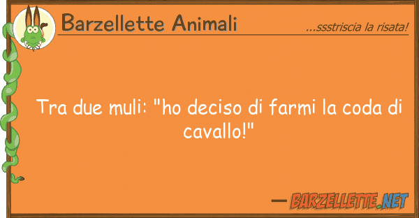 Barzellette Animali due muli: "ho deciso farmi cod